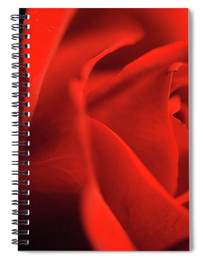 Raw Flowers 12 - Spiral Notebook