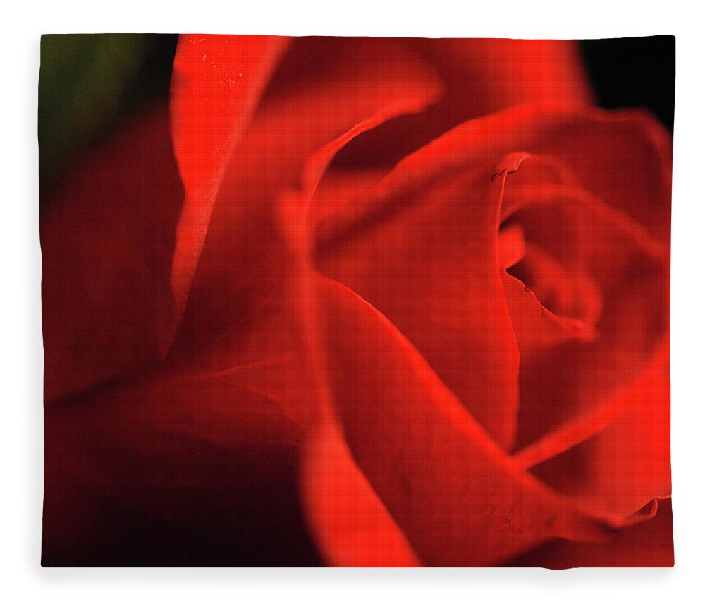 Raw Flowers 12 - Blanket