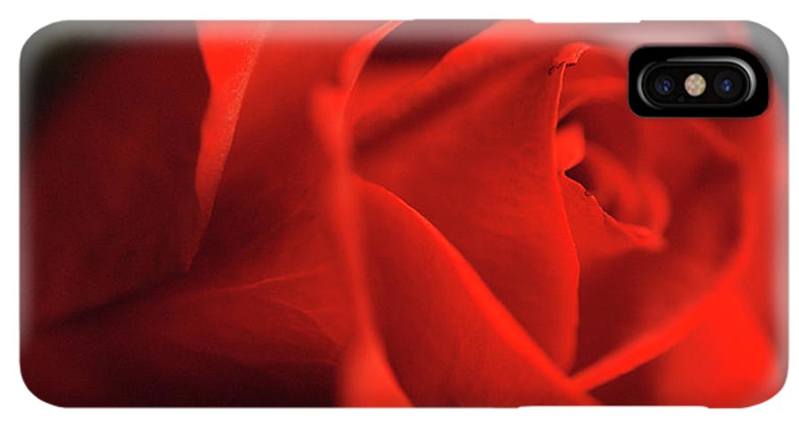 Raw Flowers 12 - Phone Case
