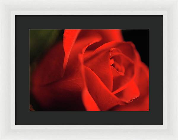 Raw Flowers 12 - Framed Print