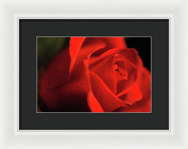 Raw Flowers 12 - Framed Print