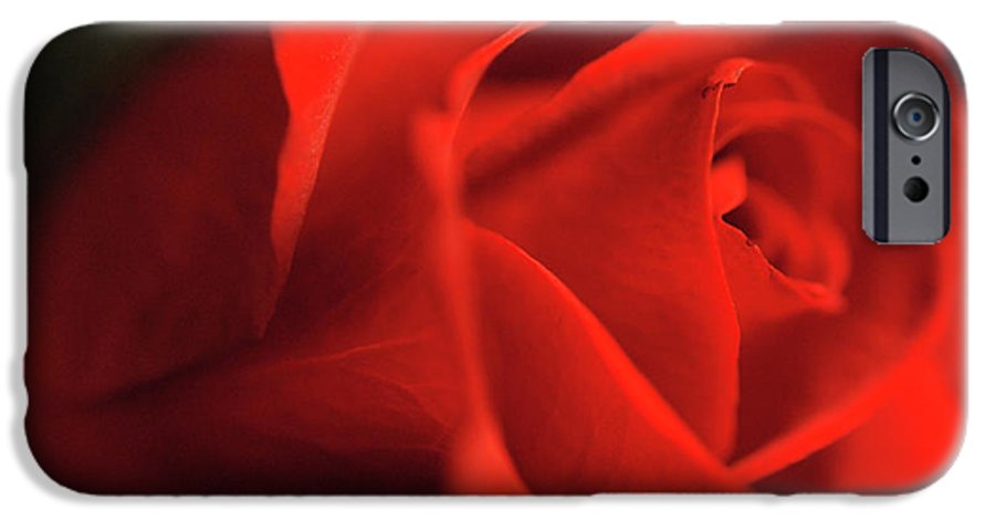 Raw Flowers 12 - Phone Case