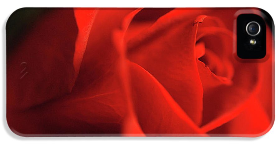 Raw Flowers 12 - Phone Case
