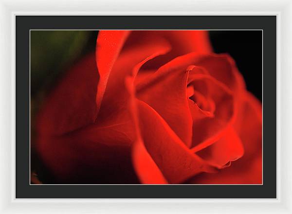 Raw Flowers 12 - Framed Print