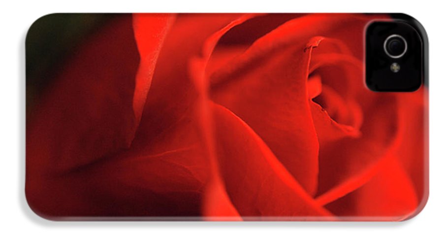 Raw Flowers 12 - Phone Case