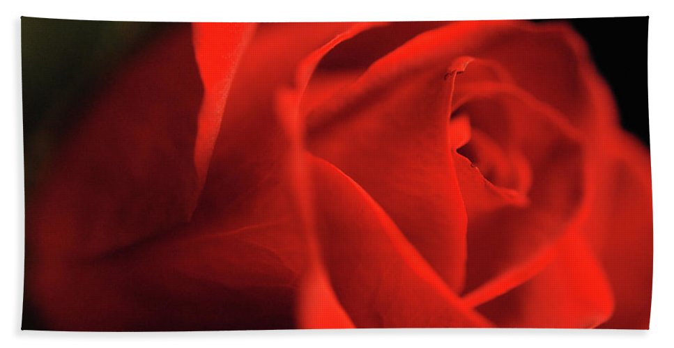Raw Flowers 12 - Beach Towel