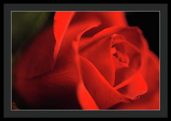 Raw Flowers 12 - Framed Print