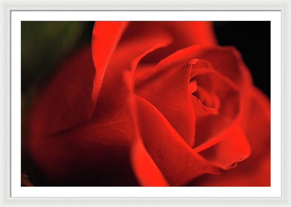 Raw Flowers 12 - Framed Print