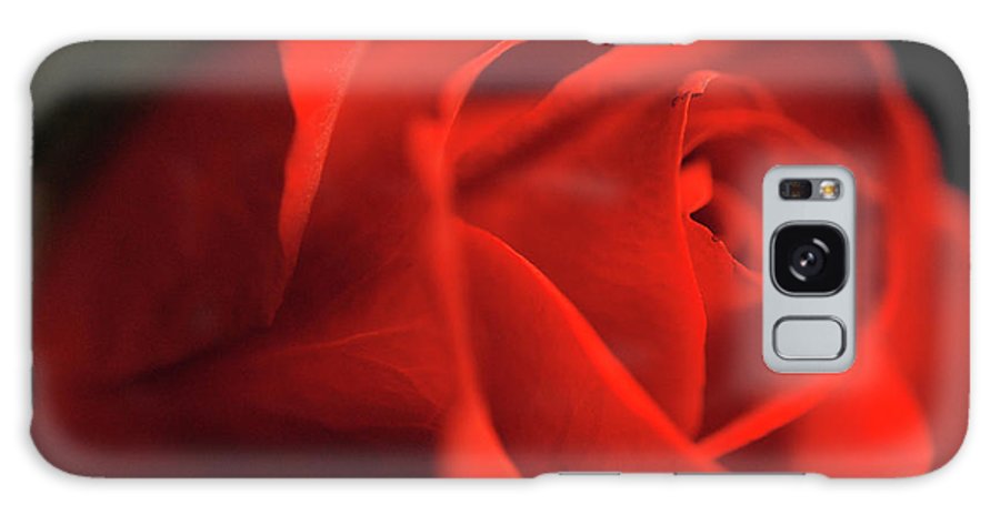 Raw Flowers 12 - Phone Case