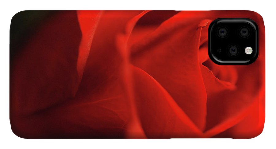 Raw Flowers 12 - Phone Case