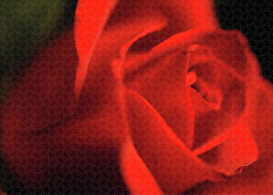 Raw Flowers 12 - Puzzle