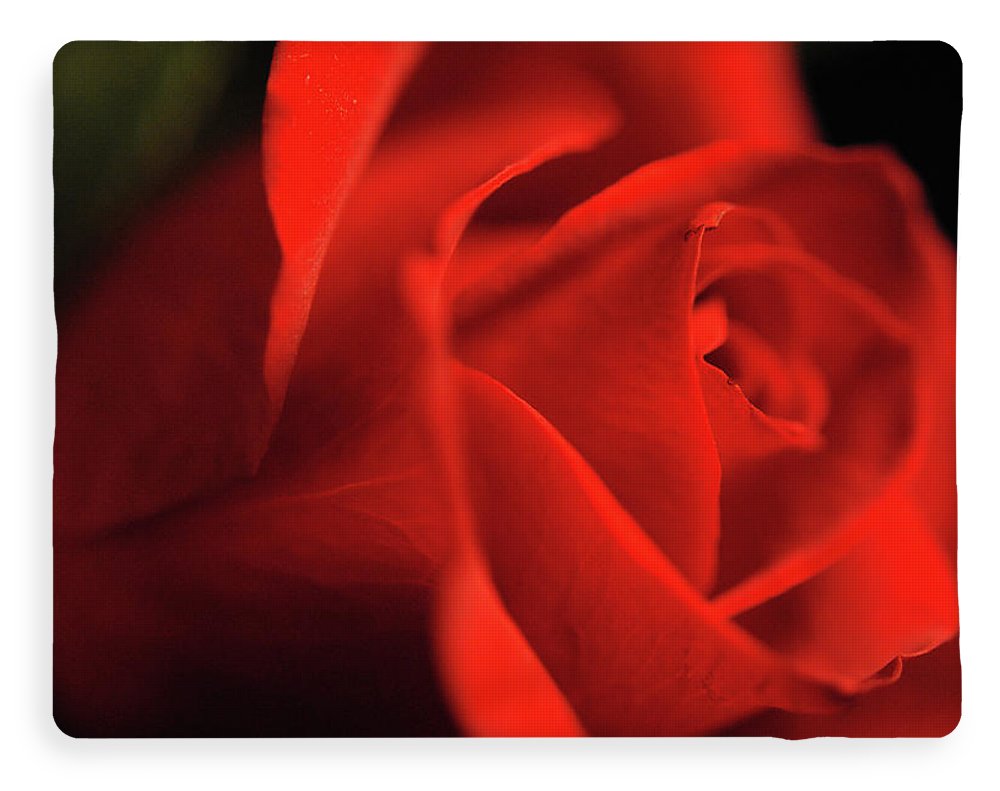 Raw Flowers 12 - Blanket