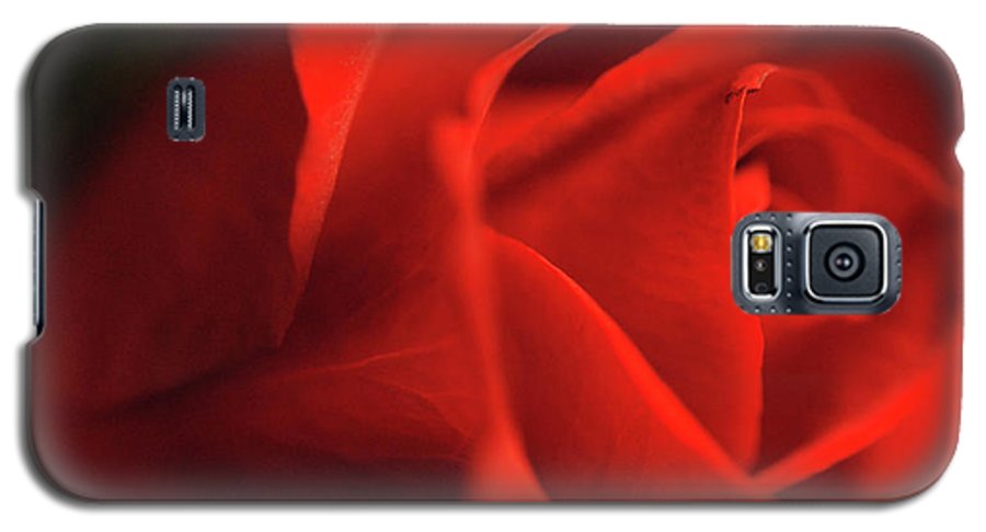 Raw Flowers 12 - Phone Case