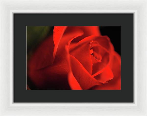 Raw Flowers 12 - Framed Print