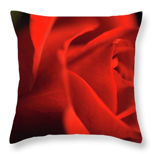 Raw Flowers 12 - Throw Pillow