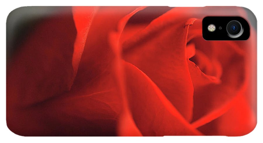 Raw Flowers 12 - Phone Case