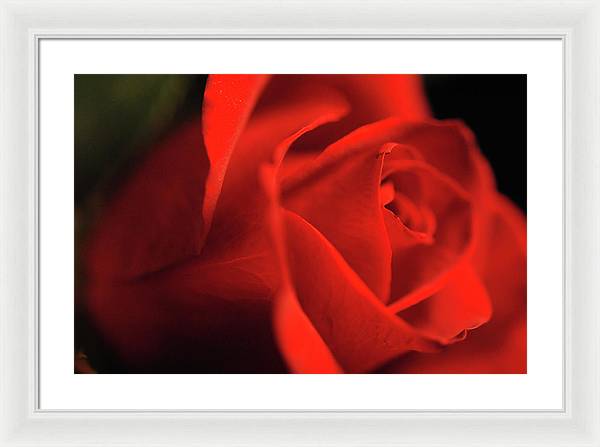Raw Flowers 12 - Framed Print