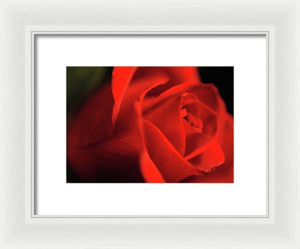 Raw Flowers 12 - Framed Print