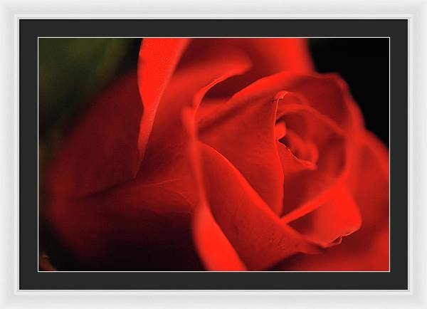 Raw Flowers 12 - Framed Print