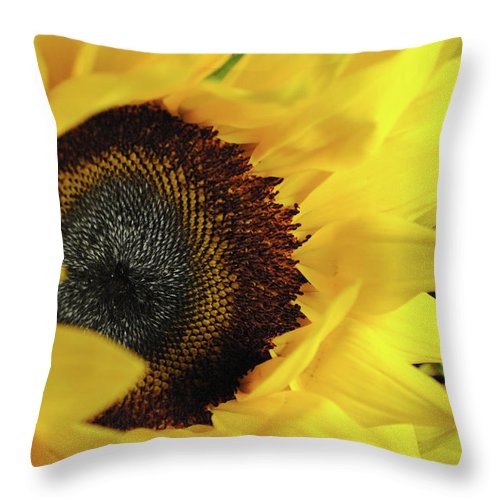 Raw Flowers 13 - Throw Pillow