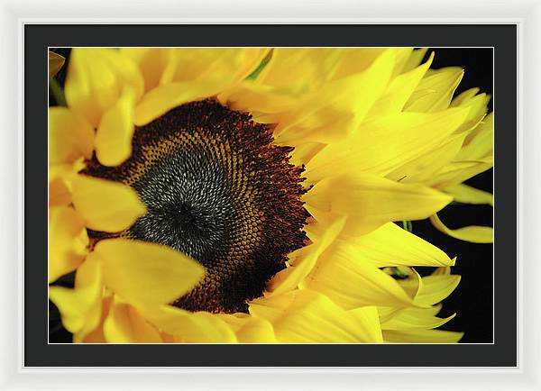 Raw Flowers 13 - Framed Print
