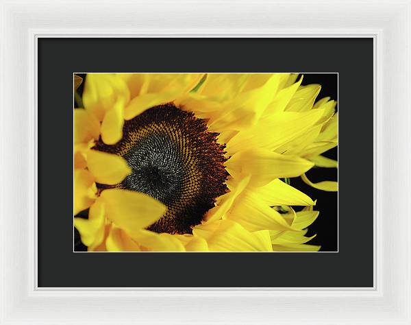 Raw Flowers 13 - Framed Print