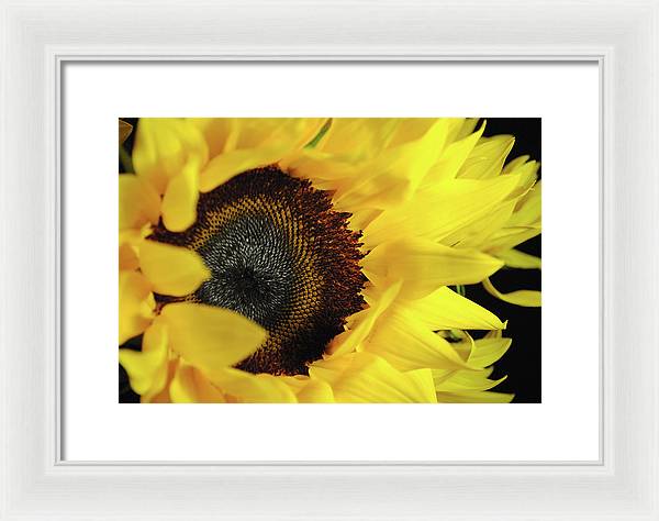 Raw Flowers 13 - Framed Print