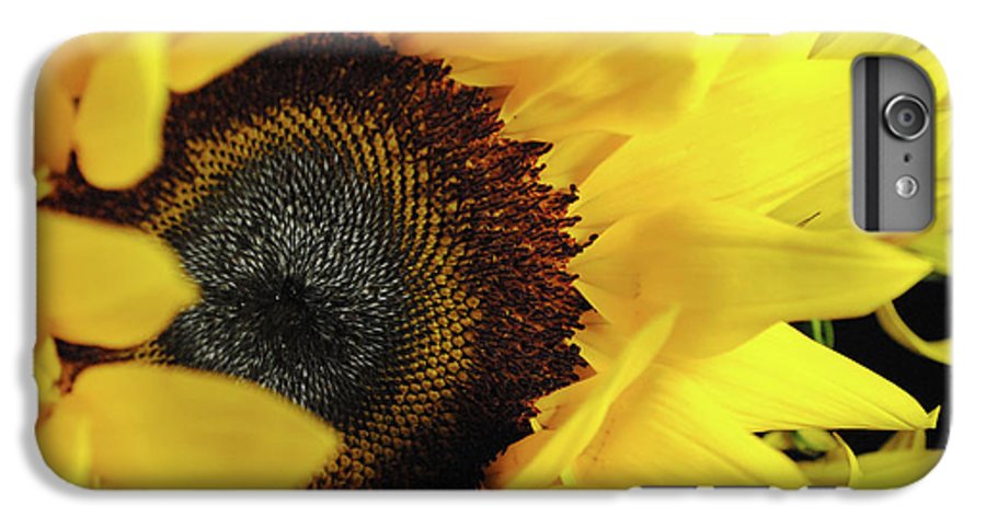 Raw Flowers 13 - Phone Case