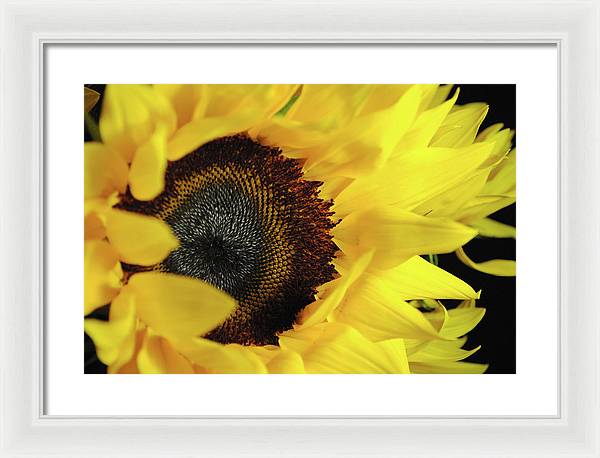 Raw Flowers 13 - Framed Print