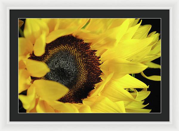Raw Flowers 13 - Framed Print