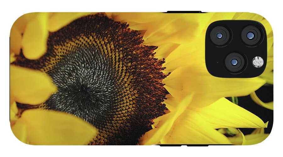 Raw Flowers 13 - Phone Case