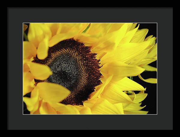 Raw Flowers 13 - Framed Print
