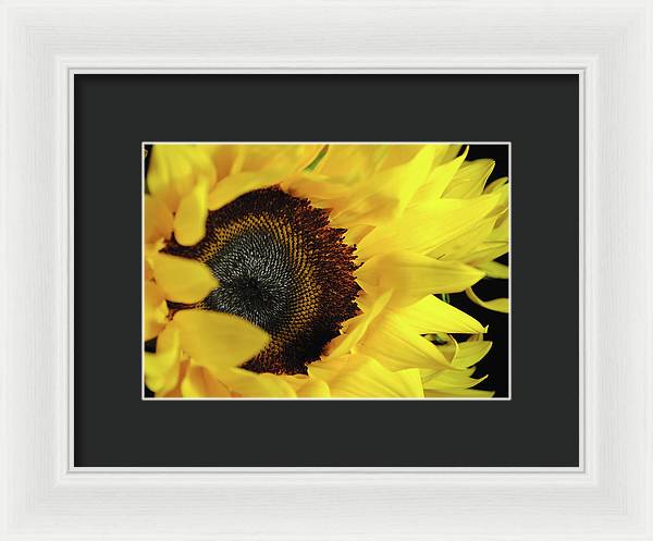 Raw Flowers 13 - Framed Print