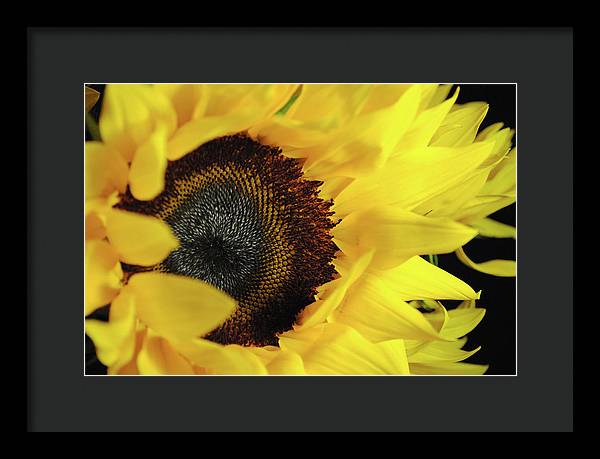 Raw Flowers 13 - Framed Print