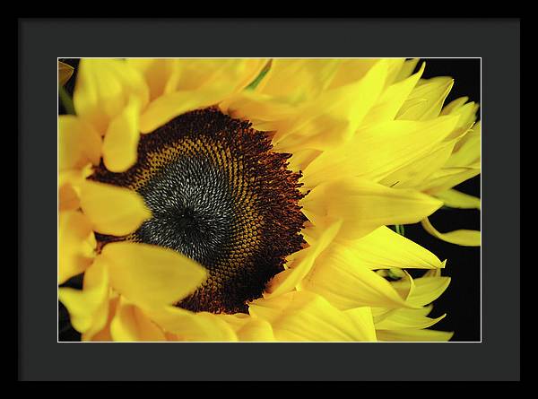 Raw Flowers 13 - Framed Print