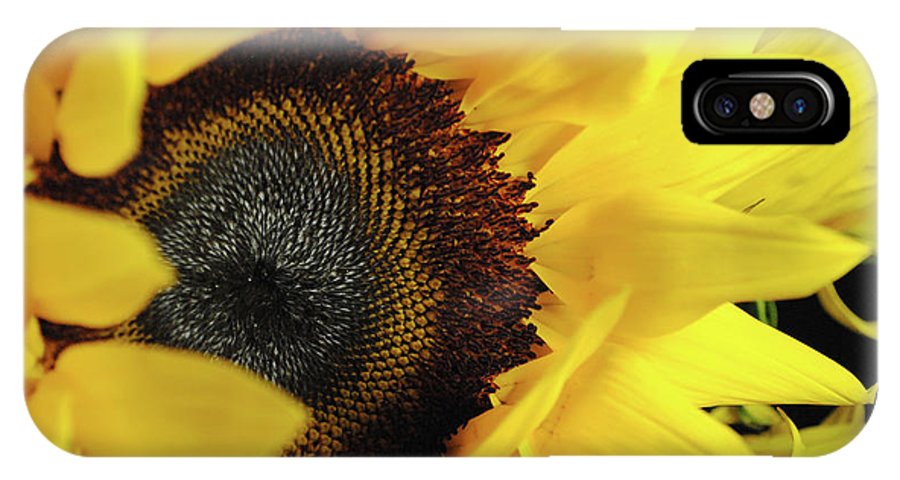 Raw Flowers 13 - Phone Case