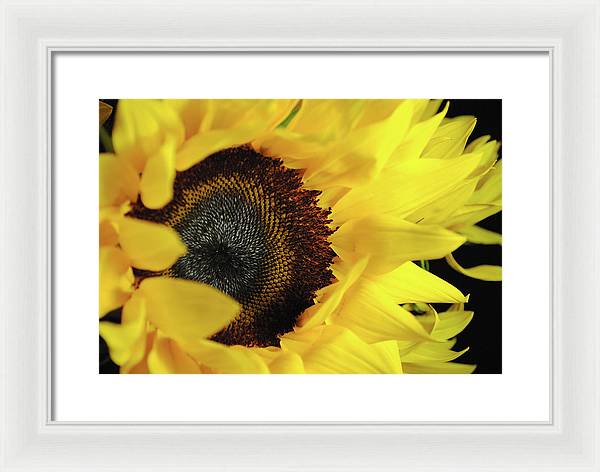 Raw Flowers 13 - Framed Print