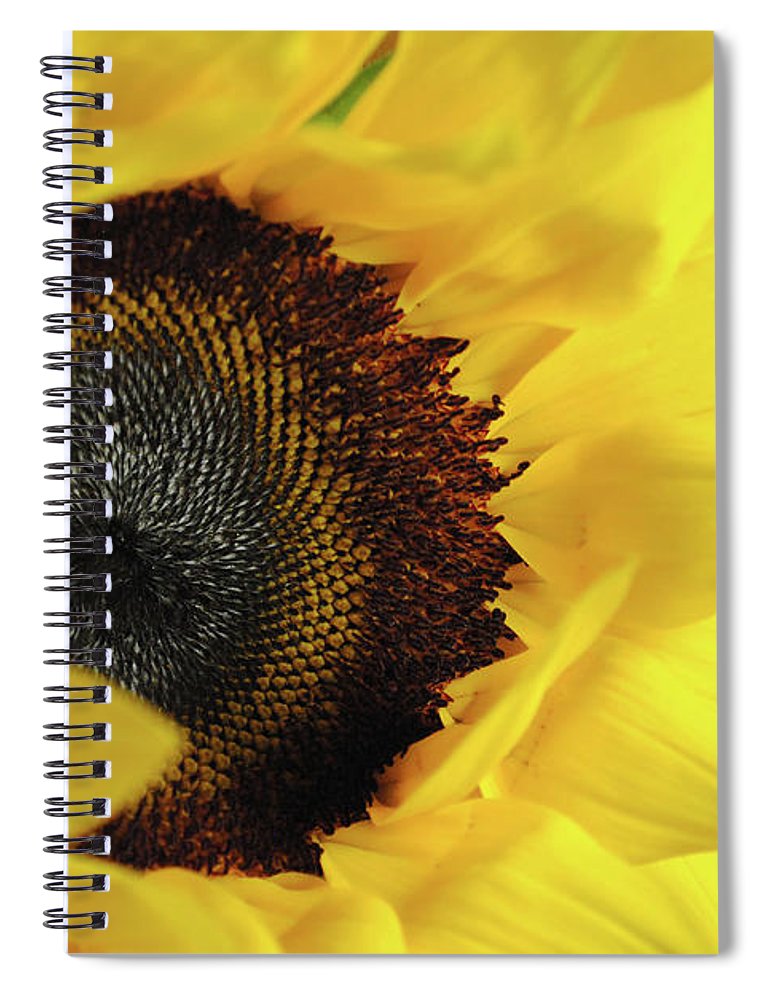 Raw Flowers 13 - Spiral Notebook