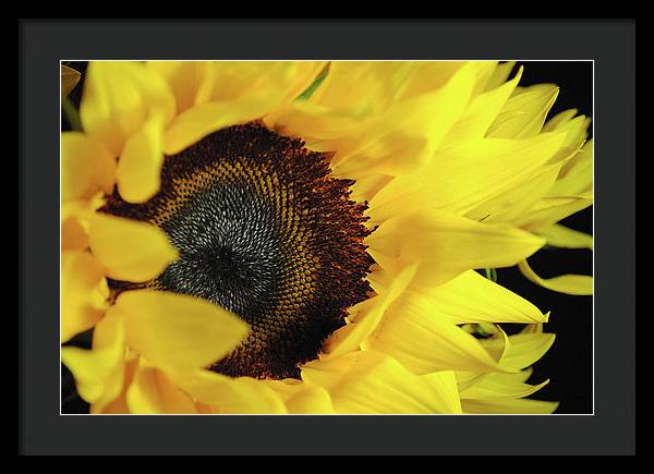 Raw Flowers 13 - Framed Print