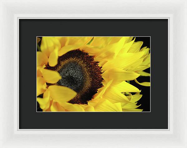 Raw Flowers 13 - Framed Print