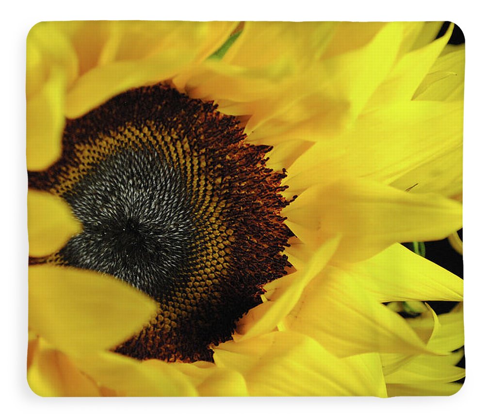 Raw Flowers 13 - Blanket