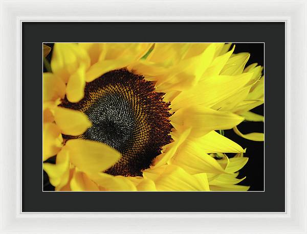 Raw Flowers 13 - Framed Print