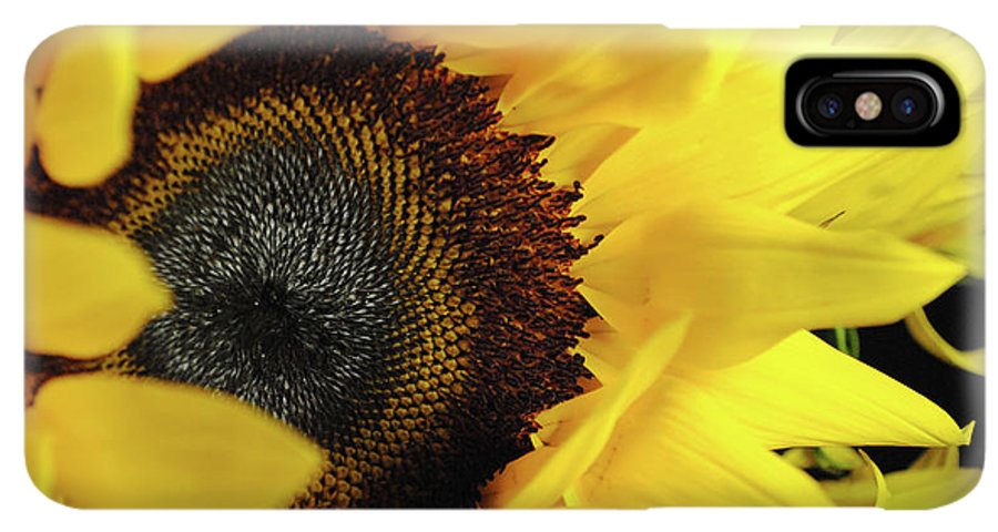 Raw Flowers 13 - Phone Case