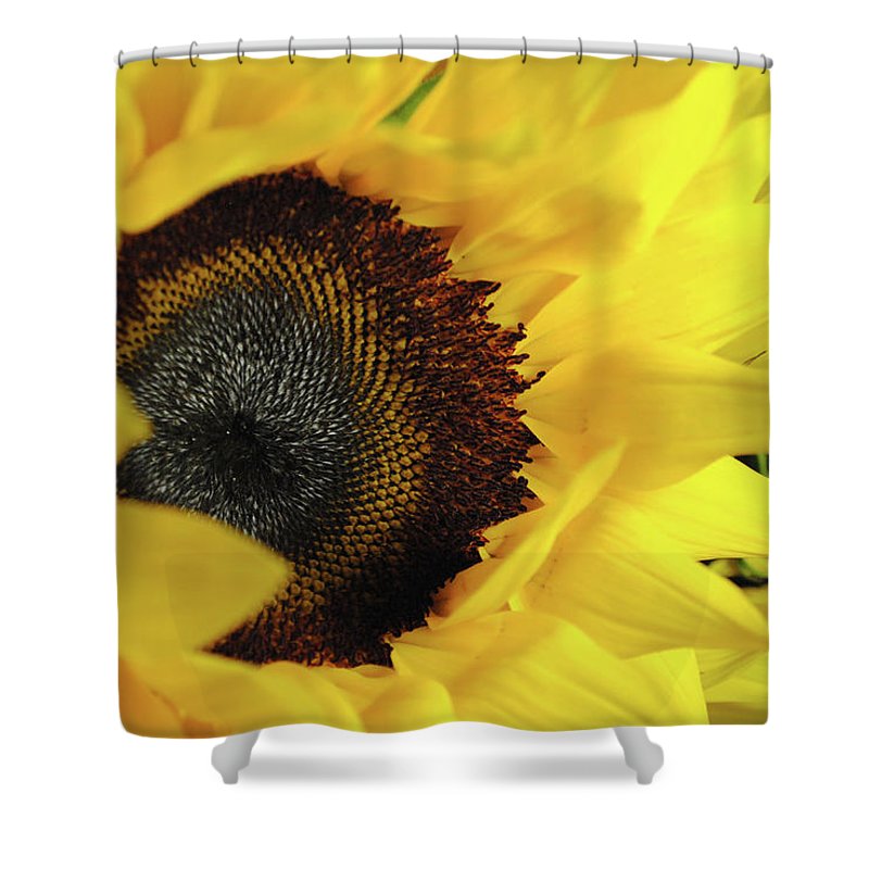 Raw Flowers 13 - Shower Curtain