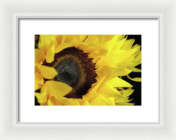 Raw Flowers 13 - Framed Print