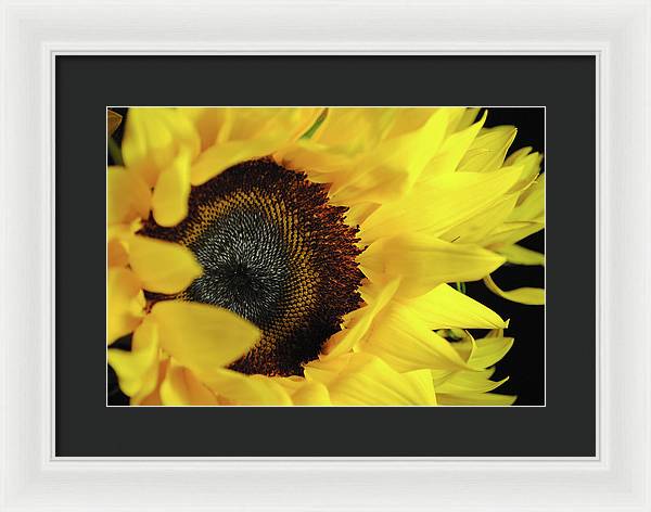 Raw Flowers 13 - Framed Print