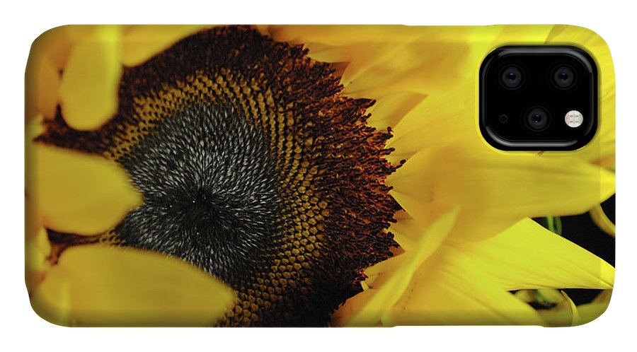 Raw Flowers 13 - Phone Case