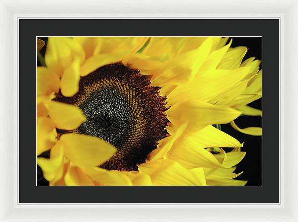 Raw Flowers 13 - Framed Print