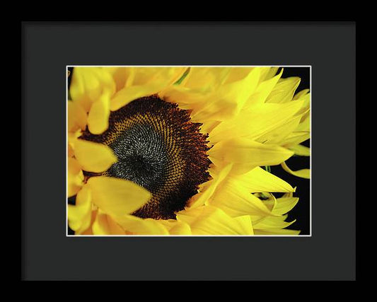 Raw Flowers 13 - Framed Print