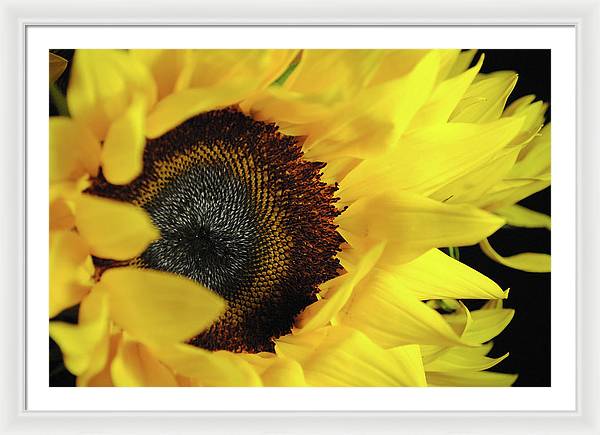 Raw Flowers 13 - Framed Print